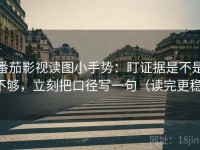 番茄影视读图小手势：盯证据是不是不够，立刻把口径写一句（读完更稳）